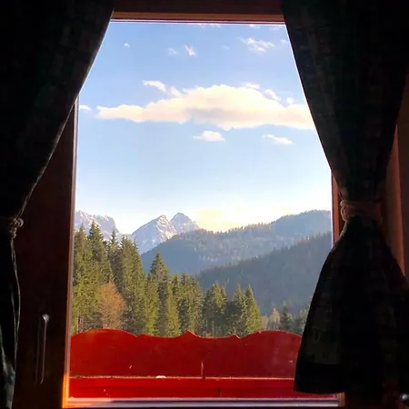 Alpenrose