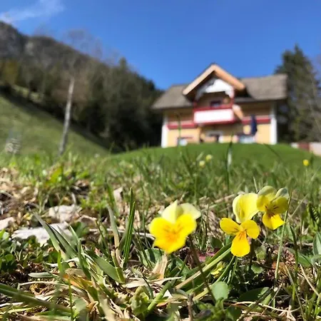 Alpenrose * Ugovizza