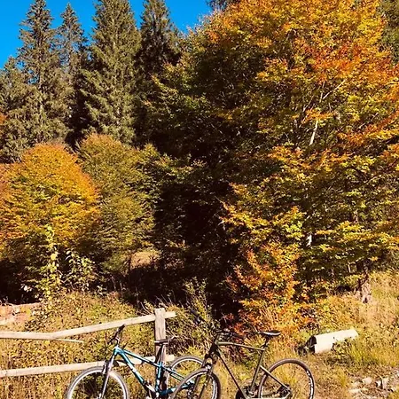 Alpstuga Alpenrose *