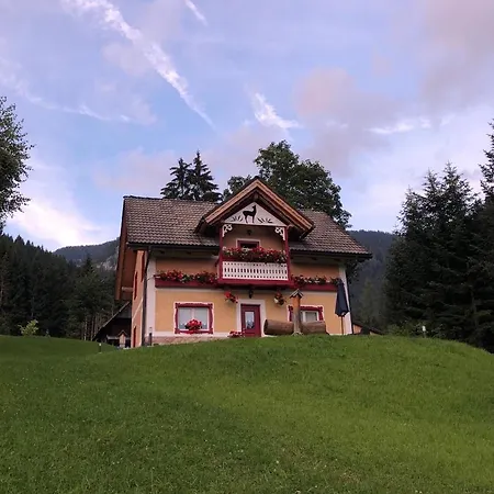 Alpenrose