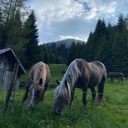 Chalet Alpenrose