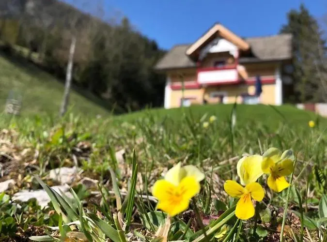 Alpenrose * Ugovizza