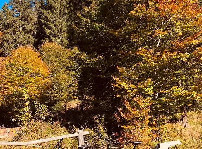 Σαλέ Alpenrose *