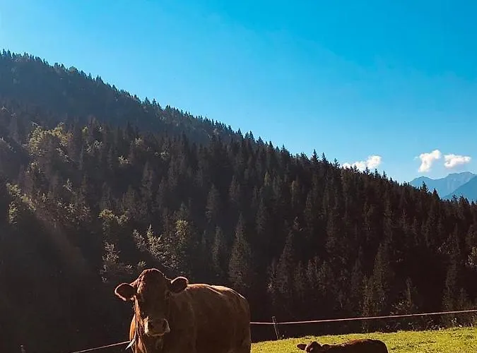 Alpenrose * Ugovizza